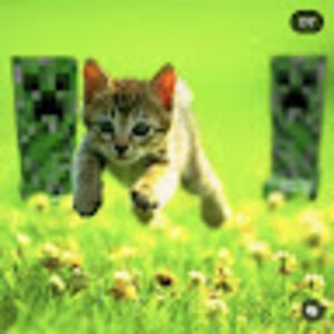 Meet your Posher, Teddy